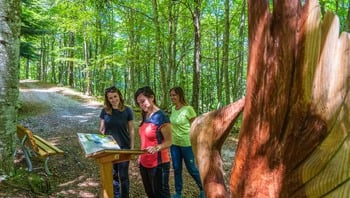 Le fiabe nel bosco tra arte e natura