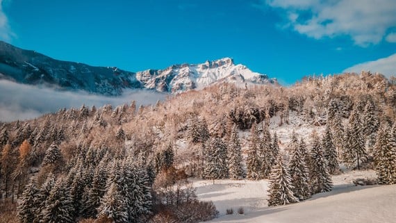Chi ha detto che in Trentino si può solo sciare?