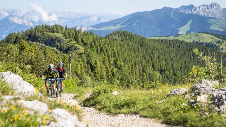 Alpe Cimbra - Ein Sommer voller Bike-Abenteuer!