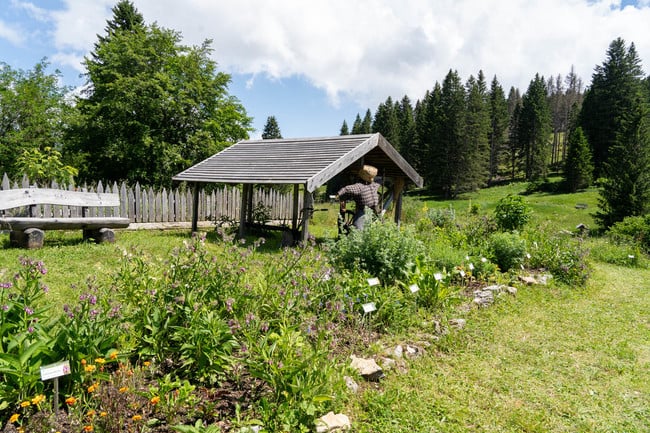 Giardino Botanico Alpino