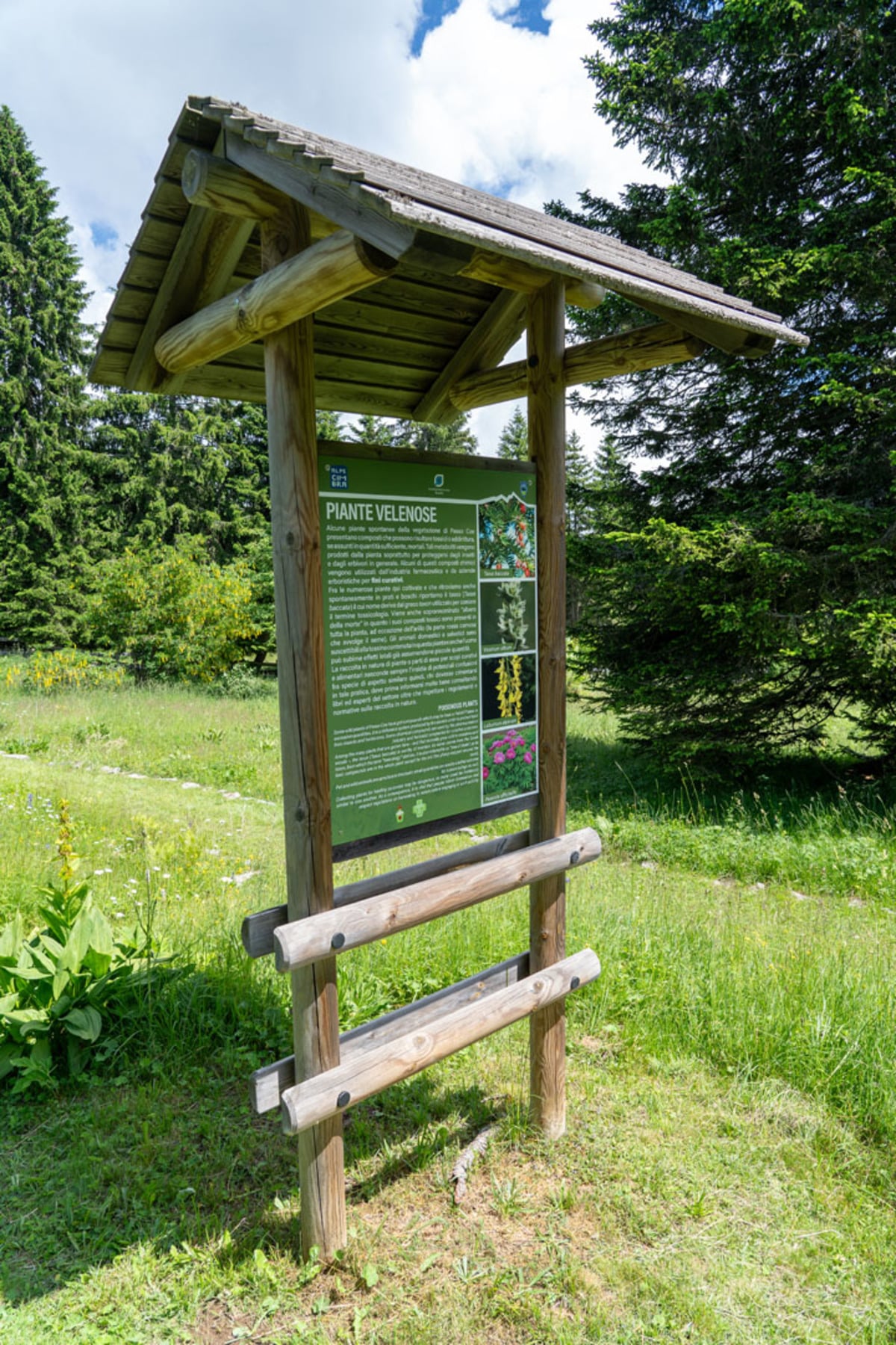 Giardino Botanico Alpino