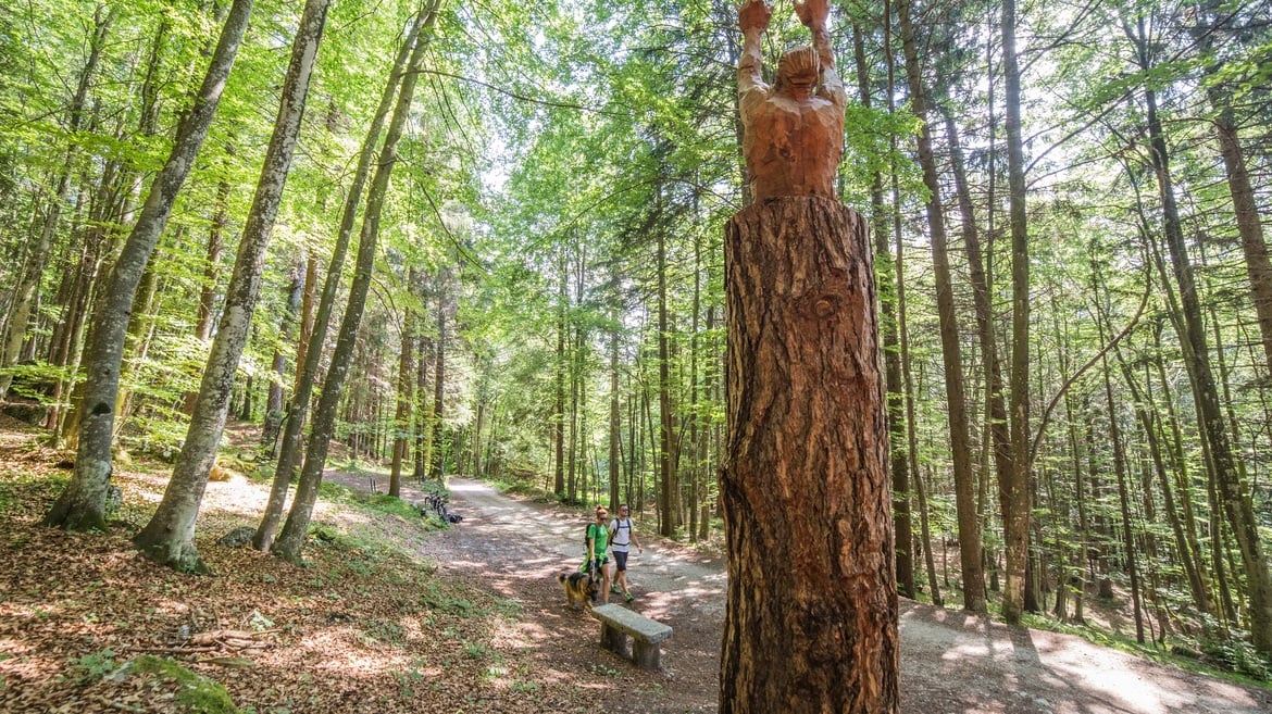 Respiro degli Alberi