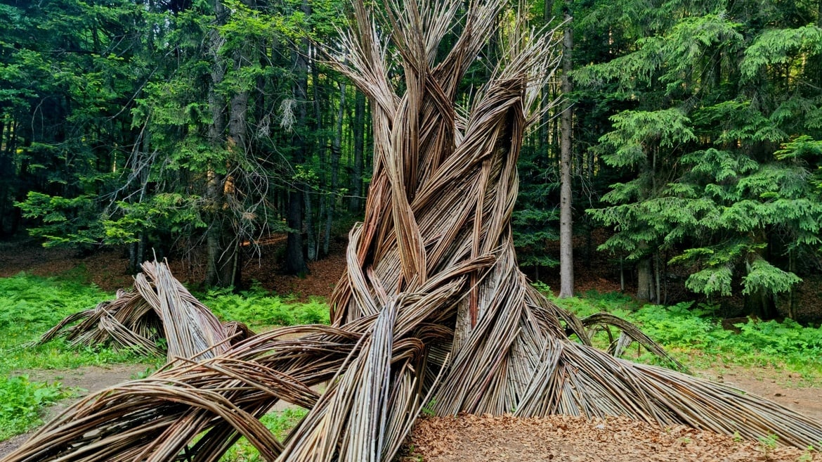 Respiro degli Alberi