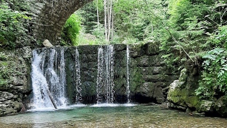 Sentieri tematici in Alpe Cimbra