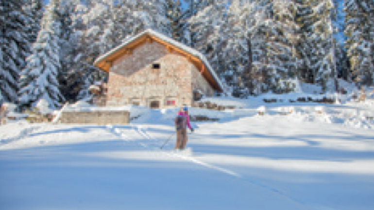 Fiocco dopo fiocco l'inverno in Alpe Cimbra