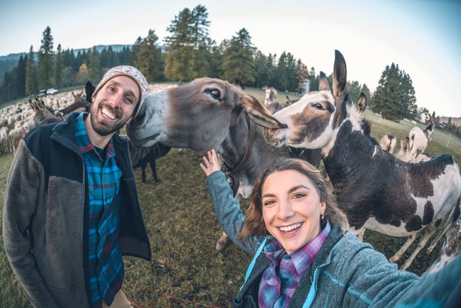 Horse riding through the mountains