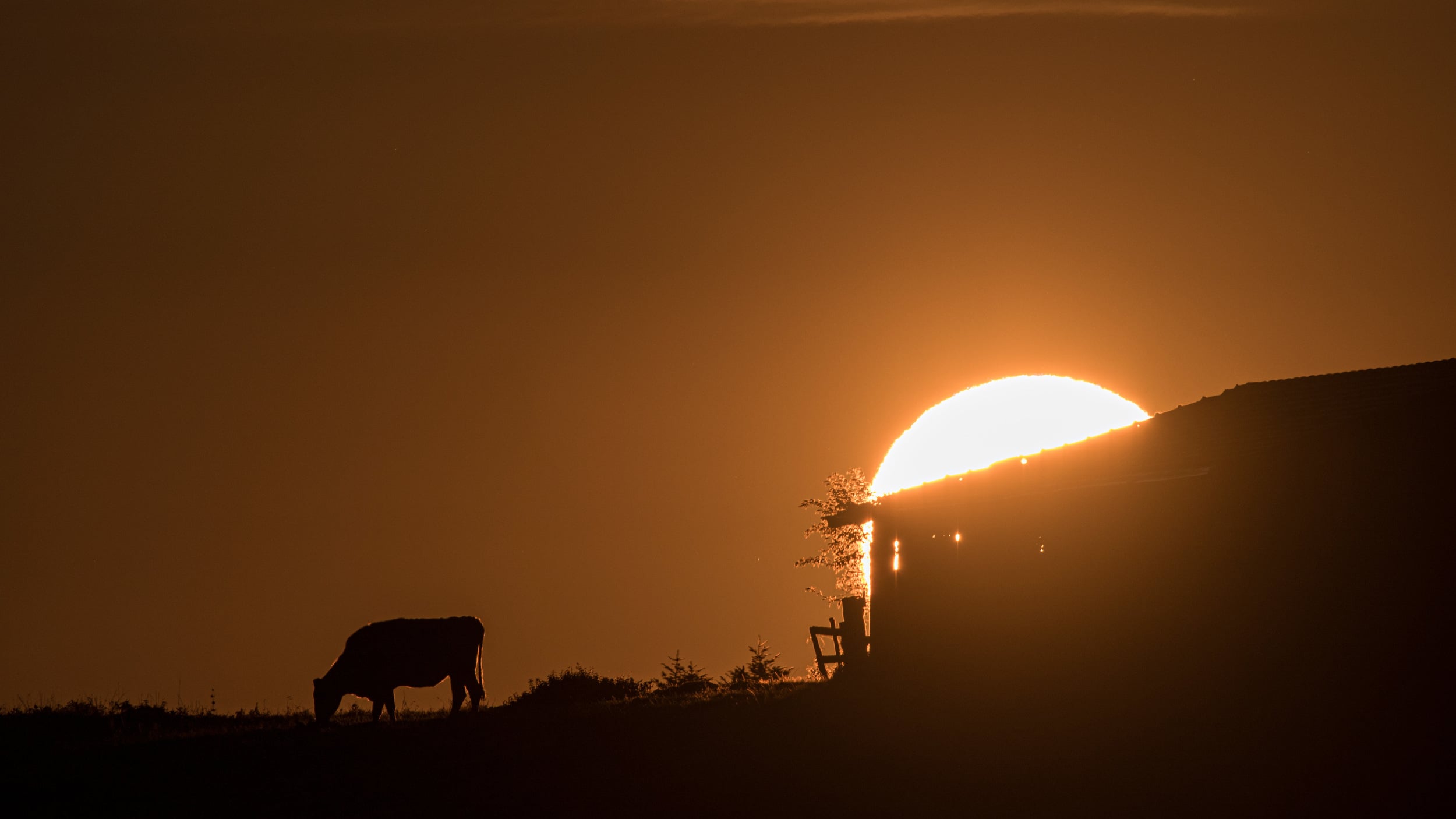 Alba in malga Millegrobbe di Sopra