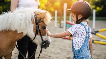 Trekking con i pony