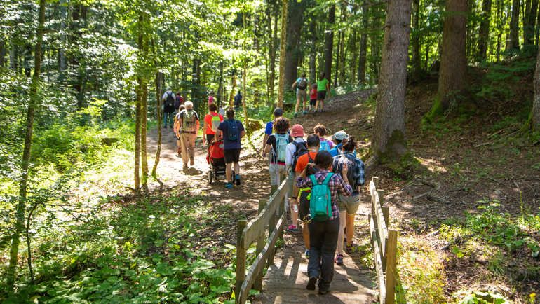 DEGUSTANDO L’OLTRESOMMO: Un autentico trekking enogastronomico tra natura e gusto