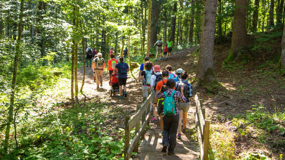 DEGUSTANDO L’OLTRESOMMO: An Authentic Food and Wine Trekking Experience Between Nature and Flavor