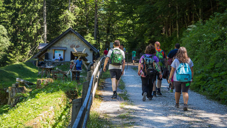 DEGUSTANDO L’OLTRESOMMO: Un autentico trekking enogastronomico tra natura e gusto