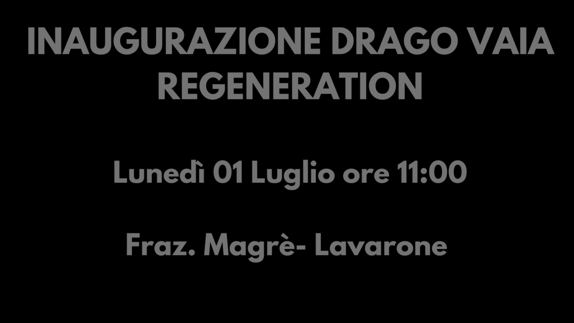 Drago Vaia Regeneration Inaugurazione 1° luglio 2024