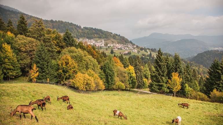 Vacanze Trentino, weekend romantico in montagna.