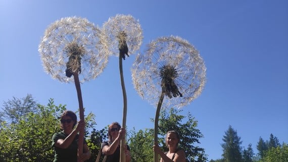 Domenica 22 settembre a Lavarone Inaugurazione di due nuove Opere al Respiro degli Alberi