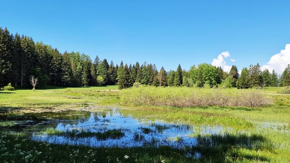 Il biotopo d’alta quota nato da un antico lago. Il biotopo di Ecken