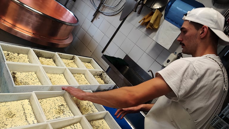 The ancient primacy of the Caseificio degli Altipiani and Vezzena: here the Slow Food Presidium cheese is born, the taste of mountain tradition