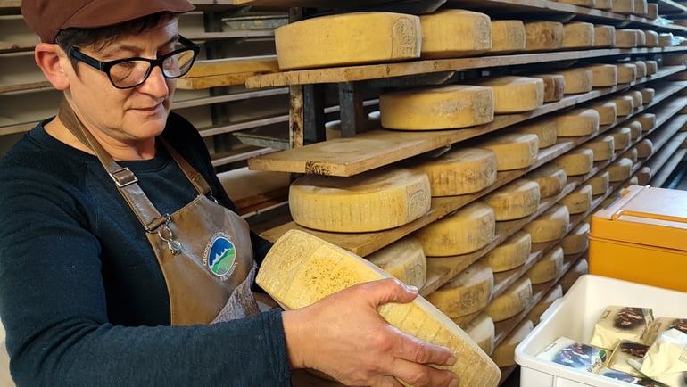 L’antico primato del Caseificio degli Altipiani e del Vezzena: qui nasce il formaggio presidio Slow Food, il gusto della tradizione di montagna