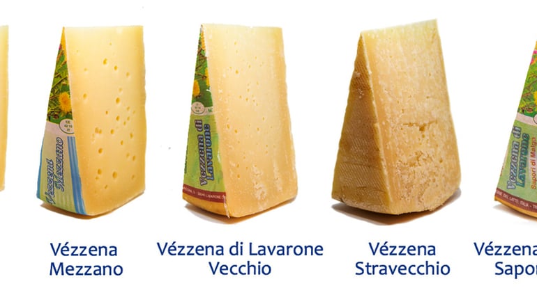 The ancient primacy of the Caseificio degli Altipiani and Vezzena: here the Slow Food Presidium cheese is born, the taste of mountain tradition