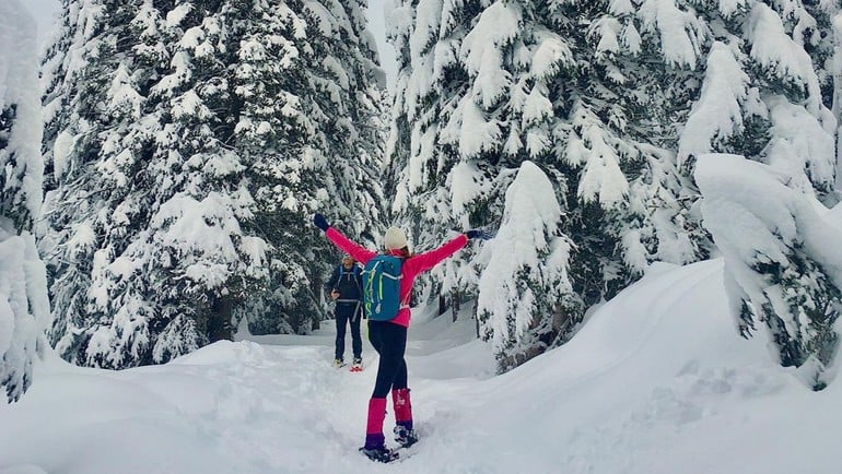 Il Bosco d'Inverno