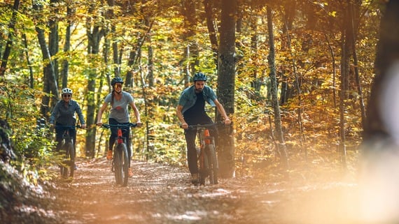 Un incanto di colori immerso in atmosfere magiche: è la stagione del foliage e dei menù d’autunno