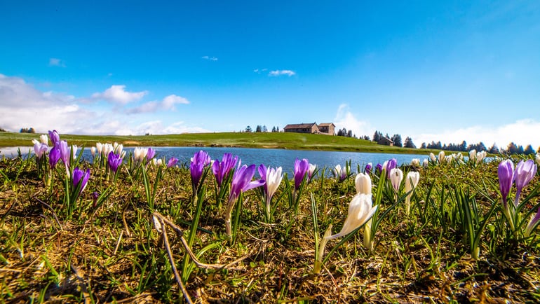 OSTERN IN DEN BERGEN: OSTERWOCHENENDE AUF DER ALPE CIMBRA