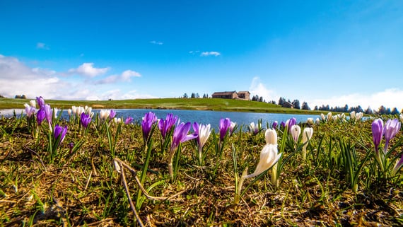 EASTER IN THE MOUNTAINS: EASTER WEEKEND ON THE ALPE CIMBRA