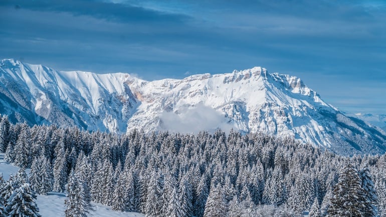 INVERNO IN VIGOLANA