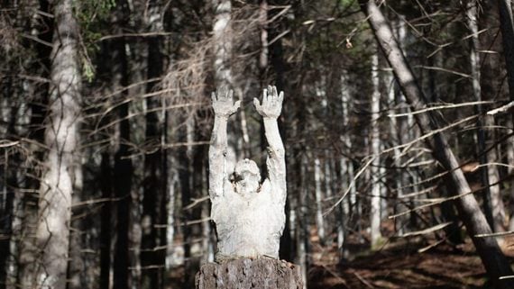 Respiro degli alberi | Un itinerario d’arte contemporanea nel cuore di un bosco in Trentino