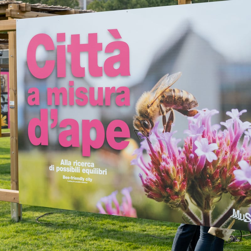 Città a misura d’ape. Alla ricerca di possibili equilibri - Mostra temporanea