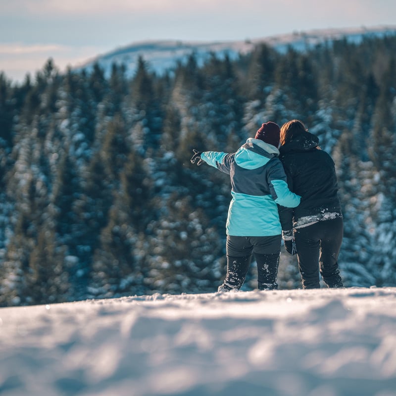 Vergnügen im Schnee