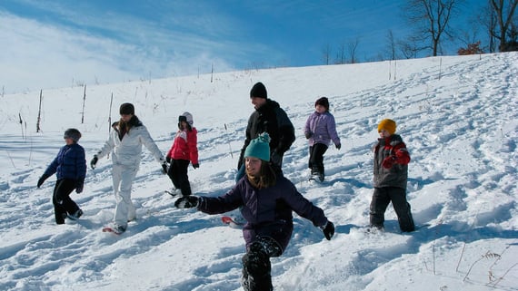 Schneeschuhwanderungen