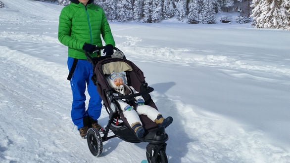 Strollers in the Snow