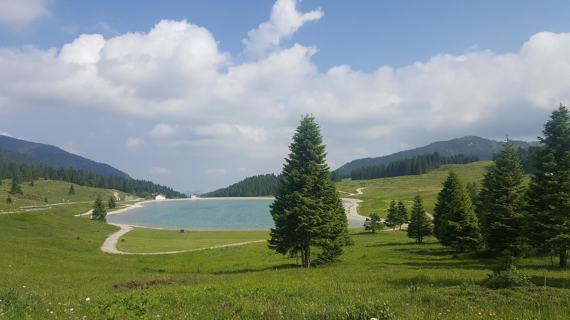 Ricarica Auto Elettriche - Azienda per il turismo Alpe Cimbra Folgaria  Lavarone Luserna Vigolana S. cons. p. A.