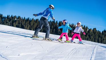 Snowit - Azienda per il turismo Alpe Cimbra Folgaria Lavarone Luserna  Vigolana S. cons. p. A.